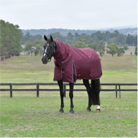 Comfitec Essential Turnout Detach-A-Neck